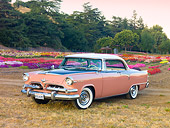 AUT 21 RK2521 01
1955 Dodge Royal Lancer Pink 3/4 Front View On Dry Grass By Flowers And Trees