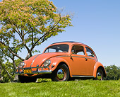 AUT 21 RK2802 01
1956 Volkswagen Beetle Coral Red 3/4 Front View On Grass By Tree