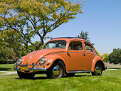 AUT 21 RK2803 01
1956 Volkswagen Beetle Coral Red 3/4 Front View On Grass By Tree