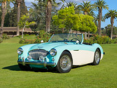 AUT 21 RK2869 01
1956 Austin-Healey 100M Roadster Green And White 3/4 Front View On Grass By Trees
