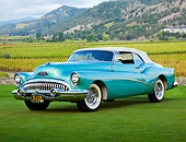 AUT 21 RK3129 01
1953 Buick 76X Skylark Pinehurst Green 3/4 Front View On Grass By Vineyard