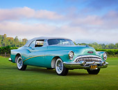 AUT 21 RK3130 01
1953 Buick 76X Skylark Pinehurst Green 3/4 Front View On Grass By Vineyard