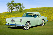 AUT 21 RK3177 01
1954 Kaiser Darrin Pine Tint Green 3/4 Front View On Grass By Tree