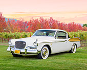 AUT 21 RK3191 01
1957 Studebaker Golden Hawk White 3/4 Front View On Grass By Vineyard And Autumn Trees