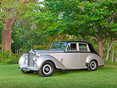 AUT 21 RK3193 01
1954 Bentley R-Type Silver And Black 3/4 Front View On Grass By Trees