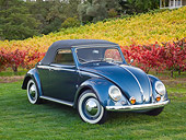 AUT 21 RK3196 01
1953 Volkswagen Hebmuller Black 3/4 Front View On Grass By Vineyard