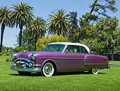 AUT 21 RK3275 01
1954 Packard Pacific Purple 3/4 Side View On Grass By Palm Trees