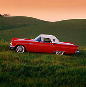 AUT 21 RK0206 11
1957 Ford Thunderbird Convertible Red Profile View On Grass Hill