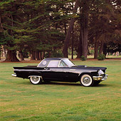AUT 21 RK0415 01
1957 Black Ford T-Bird 3/4 Front View On Grass By Trees