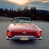 AUT 21 RK0443 01
1957 Cinnamon Ford T-Bird Convertible Rear View On Pavement Lights On By Trees Gray Skies At Dusk