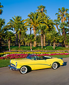AUT 21 RK0662 02
1954 Buick Skylark Model 100 Convertible Yellow Overhead Side 3/4 View On Pavement By Flowers And Palm Trees
