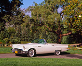 AUT 21 RK1102 02
1957 Ford T-Bird Convertible White 3/4 Side View By Grass And Trees