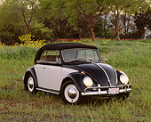 AUT 21 RK1221 07
1958 VW Cabriolet Beetle Black And Cream 3/4 Front View On Grass By Yellow Flowers