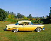 AUT 21 RK1647 01
1956 Chevrolet Bel Air Hardtop Gold And Cream Profile View On Grass By Trees