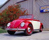 AUT 21 RK1721 02
1950 VW Hebmuller Bug Convertible Red And Cream Low 3/4 Front View On Pavement By Red Bush