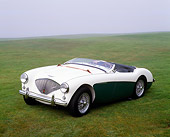 AUT 21 RK1782 01
1956 Austin-Healey 100M Roadster White And Green Front 3/4 View On Grass