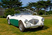 AUT 21 RK1996 01
1956 Austin-Healey Convertible White And Green Front 3/4 View On Grass