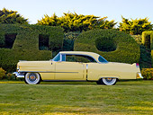 AUT 21 RK2312 01
1954 Cadillac Coupe De Ville Yellow Profile View On Grass By Hedge