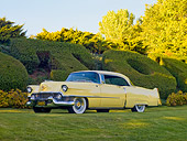 AUT 21 RK2313 01
1954 Cadillac Coupe De Ville Yellow 3/4 Front View On Grass By Hedge