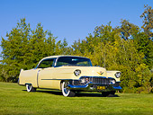 AUT 21 RK2314 01
1954 Cadillac Coupe De Ville Yellow 3/4 Front View On Grass By Trees