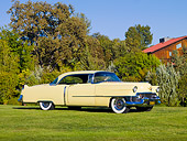 AUT 21 RK2315 01
1954 Cadillac Coupe De Ville Yellow 3/4 Front View On Grass By Trees