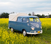 AUT 21 RK2362 01
1959 Volkswagen Binz Double Cab Bus Blue 3/4 Front View In Field Of Yellow Wildflowers