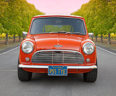 AUT 22 BK0097 01
1966 Austin Mini Cooper S Sunset Red Front View On Pavement By Rows Of Trees