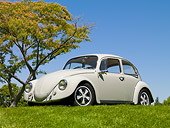 AUT 22 RK3103 01
1967 Volkswagen Beetle Fontana Gray 3/4 Front View On Grass By Tree