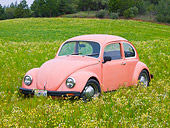 AUT 22 RK3194 01
1968 Volkswagen Bug Pink 3/4 Front View In Field Of Wildflowers