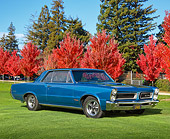 AUT 22 RK3326 01
1965 Pontiac GTO Blue 3/4 Front View On Grass By Shrubs