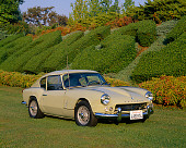 AUT 22 RK1824 02
1967 Triumph GT6 Coupe Yellow 3/4 Front View On Grass By Shrubs