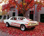 AUT 22 RK2138 02
1967 Chevy Chevelle White With Flames 3/4 Side View By Fall Trees And Building