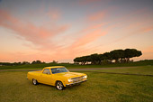 AUT 22 RK2310 01
1965 Chevrolet, El Camino, Yellow Distant 3/4 Front View On Grass