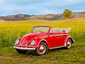 AUT 22 RK2781 01
1962 Volkswagen Cabriolet Beetle Red 3/4 Front View By Field Of Yellow Wildflowers