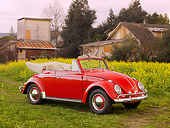 AUT 22 RK2784 01
1962 Volkswagen Cabriolet Beetle Red 3/4 Front View By Field Of Yellow Wildflowers