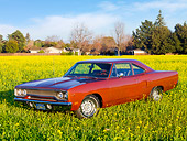 AUT 23 RK1757 01
1970 Plymouth Hemi Road Runner Orange 3/4 Front View In Field Of Yellow Wildflowers
