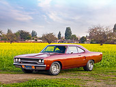 AUT 23 RK1759 01
1970 Plymouth Hemi Road Runner Orange 3/4 Front View In Field Of Yellow Wildflowers