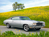 AUT 23 RK2076 01
1970 Chevrolet Chevelle SS Silver And Black 3/4 Front View On Pavement By Field Of Wildflowers