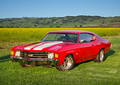 AUT 23 RK3437 01
1972 Chevrolet Chevelle Ferrari Red 3/4 Front View On Grass By Field Of Wildflowers