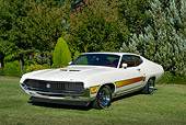 AUT 23 RK3444 01
1970 Ford Torino GT Wimbledon White 3/4 Front View On Grass By Trees