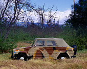 AUT 23 RK0752 01
1973 Volkswagen Thing 181 Camouflage Profile View In Field By Trees Sky