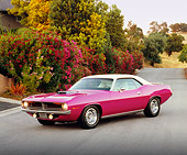 AUT 23 RK0940 03
1970 Plymouth Hemi Cuda Pink And White 3/4 Side 
View On Pavement By Bushes