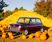 AUT 23 RK0987 05
1972 Austin Mini Cooper Burgundy 3/4 Side View On Dirt By Pumpkins