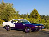 AUT 23 RK1082 01
1971 Plymouth Hemi Barracuda Plum Crazy And White 3/4 Front View On Pavement By Trees