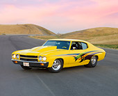 AUT 23 RK1683 01
1970 Chevrolet Chevelle Yellow 3/4 Front View By Hill Trees