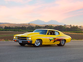 AUT 23 RK1685 01
1970 Chevrolet Chevelle Yellow 3/4 Front View By Mountains