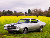 AUT 23 RK1774 01
1970 Chevrolet Chevelle SS 454 Silver And Black Stripe 3/4 Front View In Field Of Yellow Wildflowers