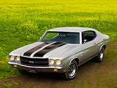 AUT 23 RK1775 01
1970 Chevrolet Chevelle SS 454 Silver And Black Stripe 3/4 Front View In Field Of Yellow Wildflowers