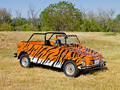 AUT 23 RK1821 01
1973 Volkswagen Type 181 Thing Tiger Stripes 3/4 Front View On Dry Grass