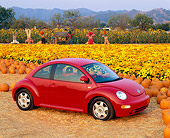 AUT 25 RK1095 04
1999 Volkswagen Beetle Turbo Red 3/4 Side View At Pumpkin Patch